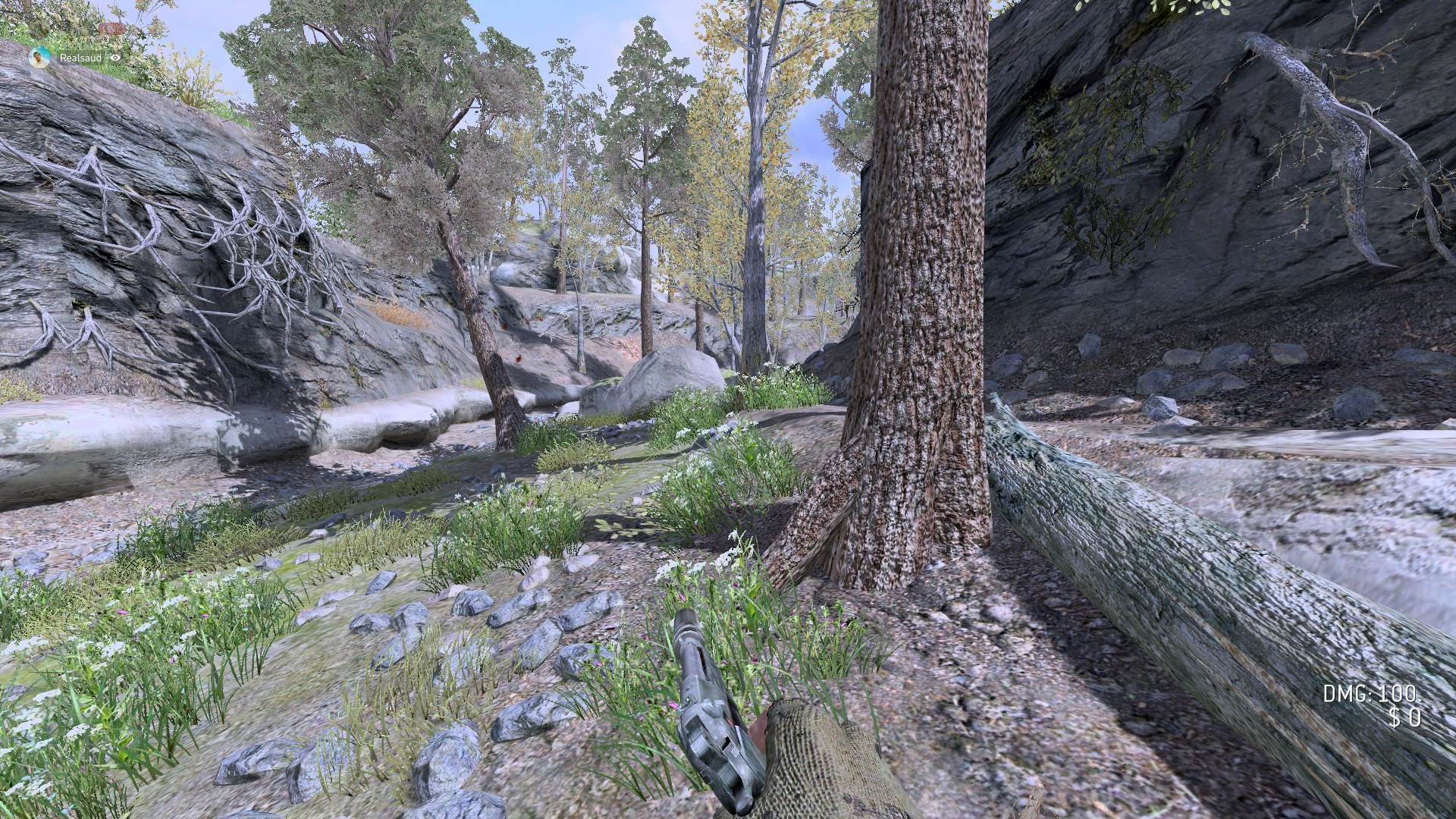 realsaud14, mp_creek, [AX] Hardcore HighXP FFA NEW MOD - ax-servers.hu